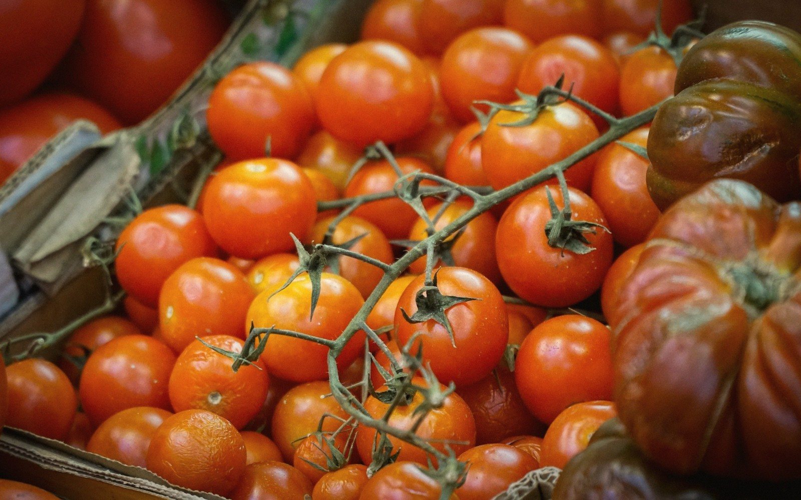 What to Do With a Glut of Tomatoes