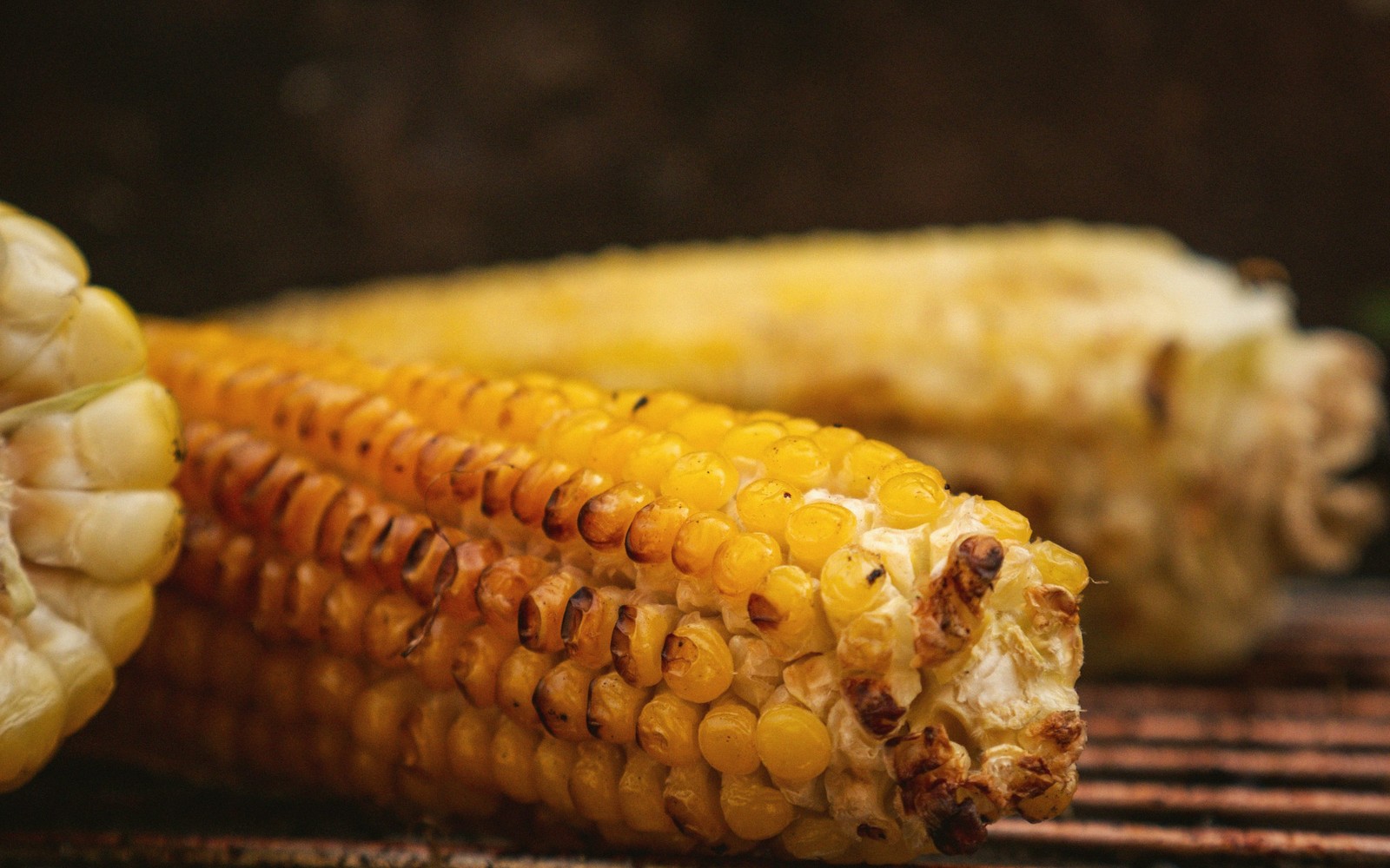 Corn cobs with charred kernels grilling on a barbecue grate